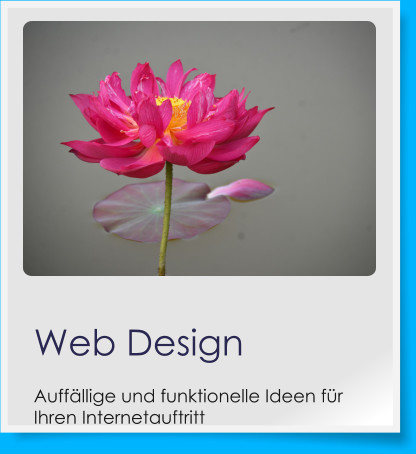 Web DesignAuffällige und funktionelle Ideen für Ihren Internetauftritt